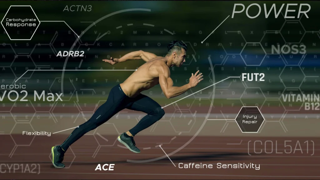 Unlock Your Performance: Blood Tests for Triathletes Blood Test