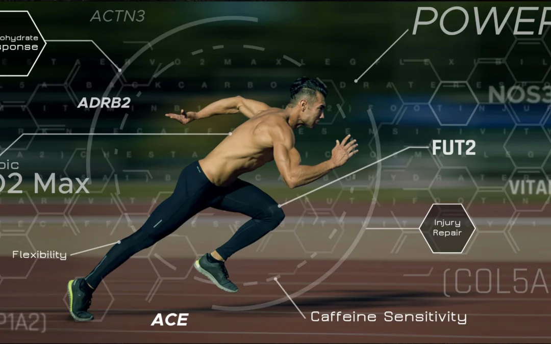 Unlock Your Performance: Blood Tests for Triathletes